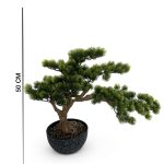 Pin Bonsai 50 cm