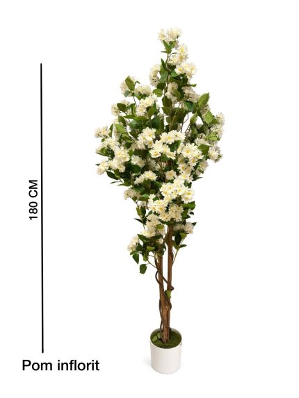 Pom inflorit 180 cm