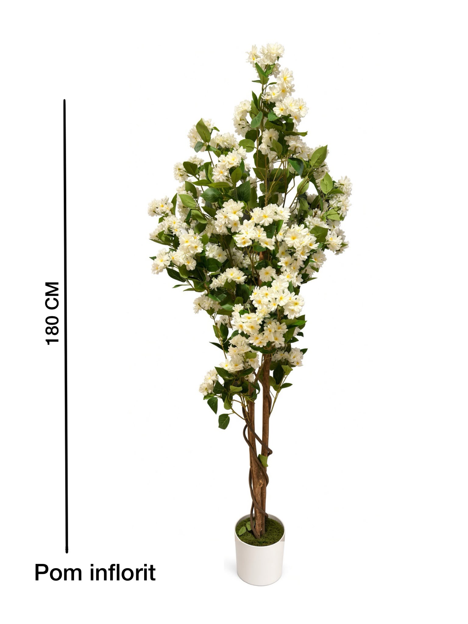 Pom iflorit 180 cm Pom inflorit 180 cm - imagine 1